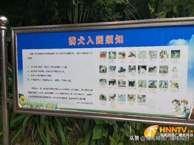 遛狗不拴绳要被强制驱离，市民对此怎么看？